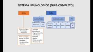 Sistema Imunológico