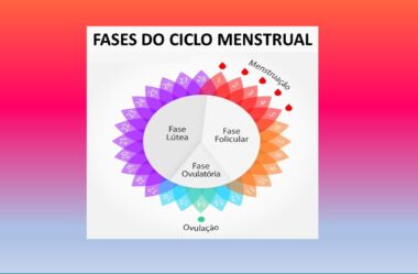 Ciclo Menstrual: Conheça suas Fases!